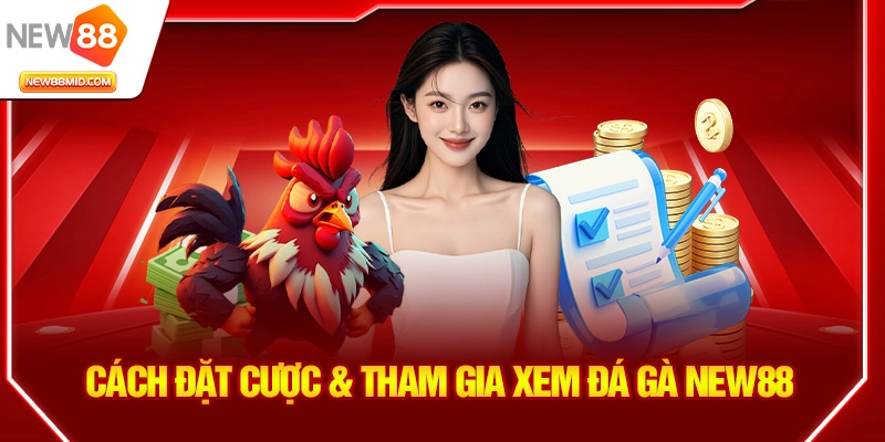 Cách đặt cược & tham gia xem đá gà New88