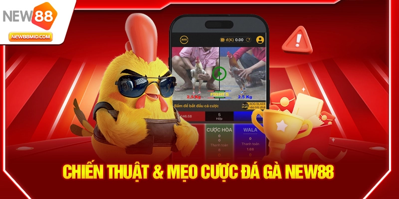Chiến thuật & mẹo cược đá gà New88