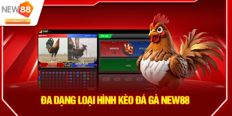 Đa dạng loại hình kèo đá gà New88