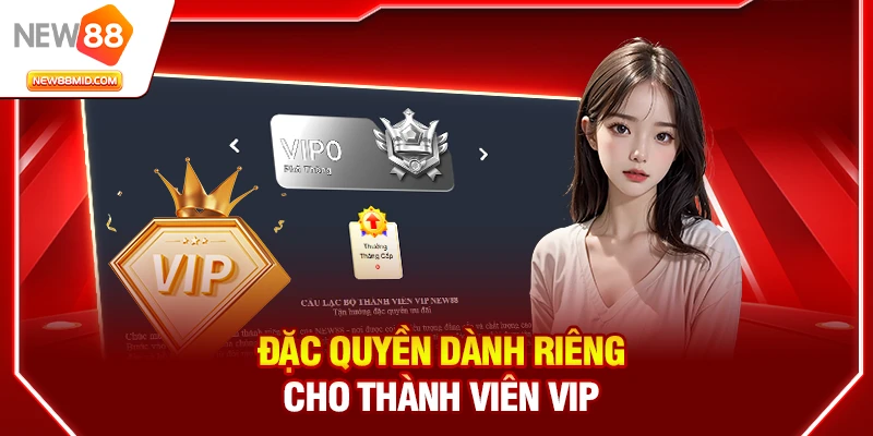 Vip new88 – Thành viên VIP đặc quyền nhận ưu đãi khủng 1 Đặc quyền dành riêng cho thành viên VIP