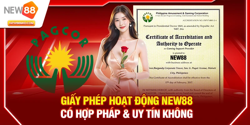 Giấy phép hoạt động New88